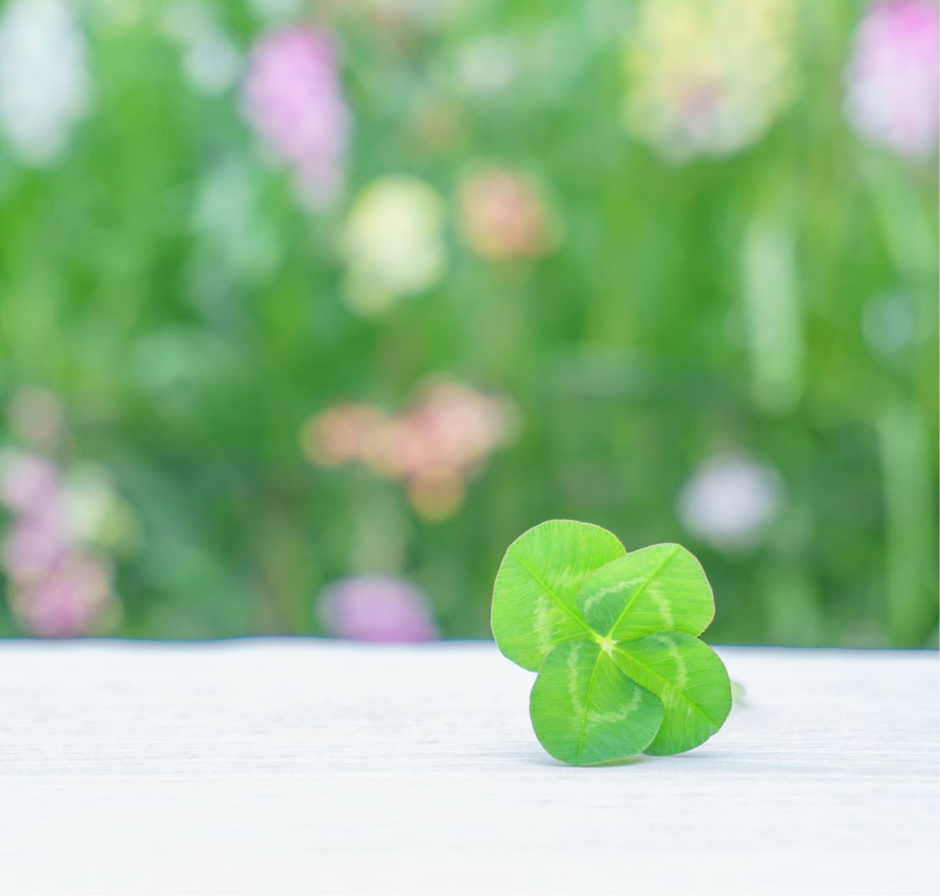 人と人との出会い出会いの中で多くの人生を変えていく